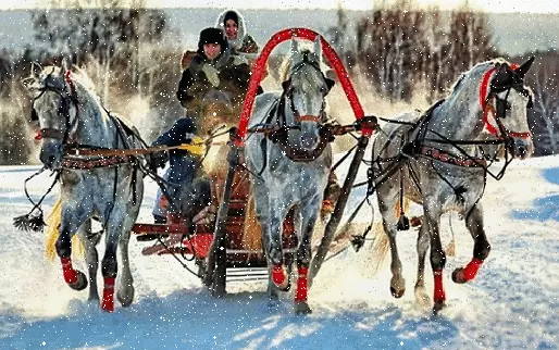 Красивые гифки с лошадьми и зимним пейзажем
